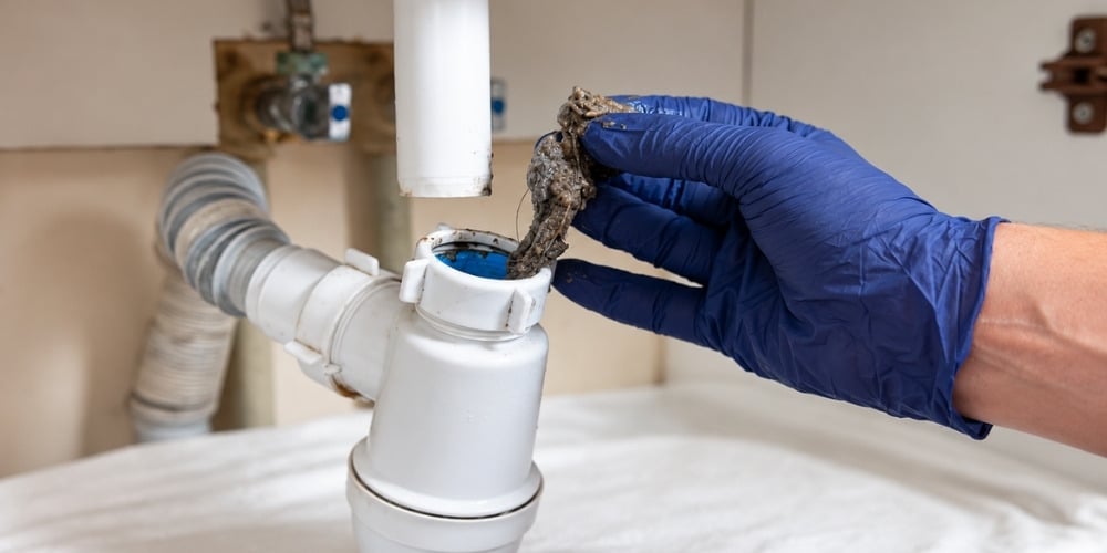 removing a clump of hair, grease, and debris from an open P-trap